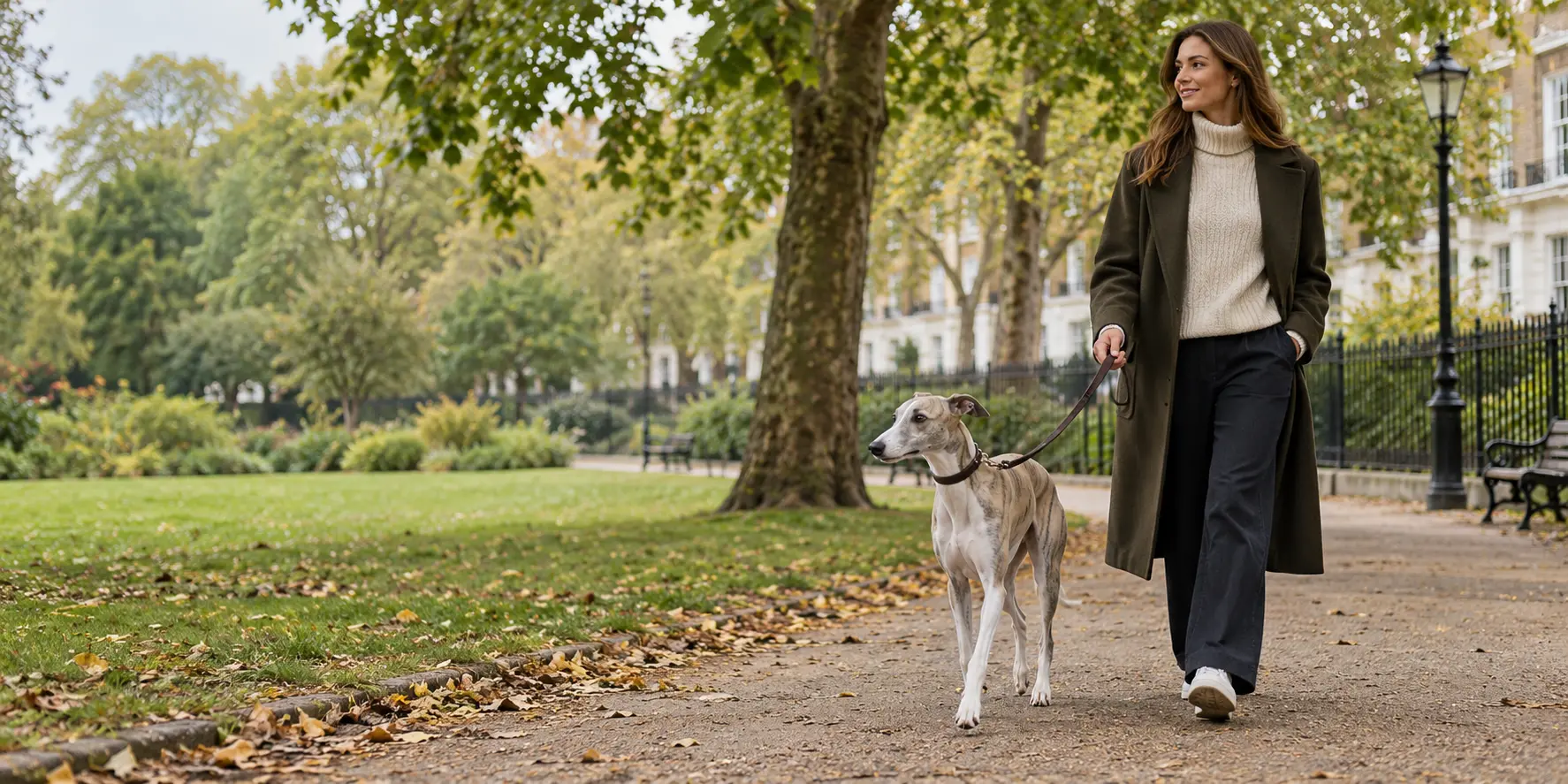 A Whippet walking with its owner through a leafy London-style city park